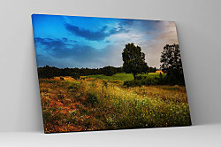 Obraz Rodná zem zs1254